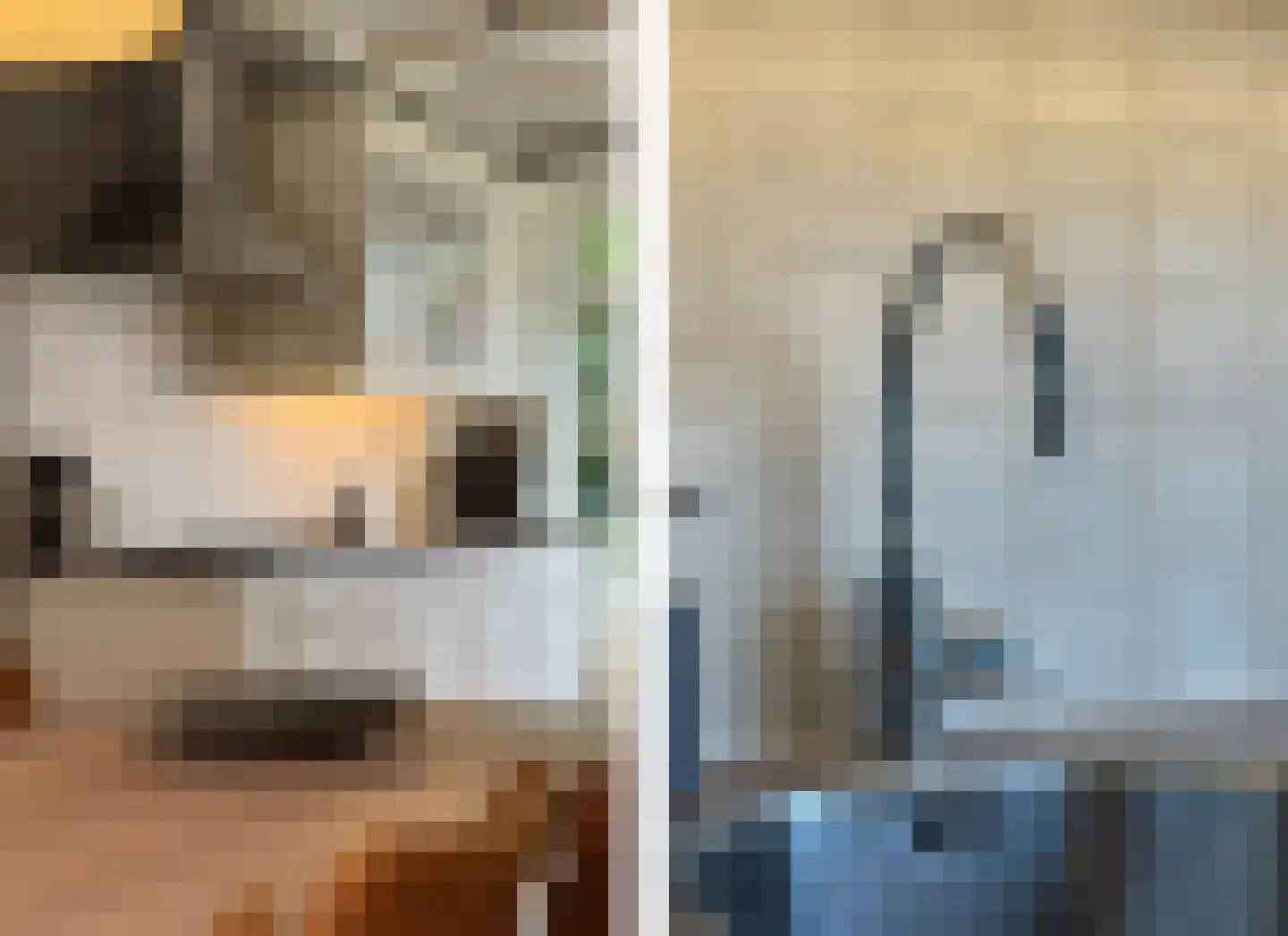 Esdoornlaan 12 Zaandijk thumbnail 13