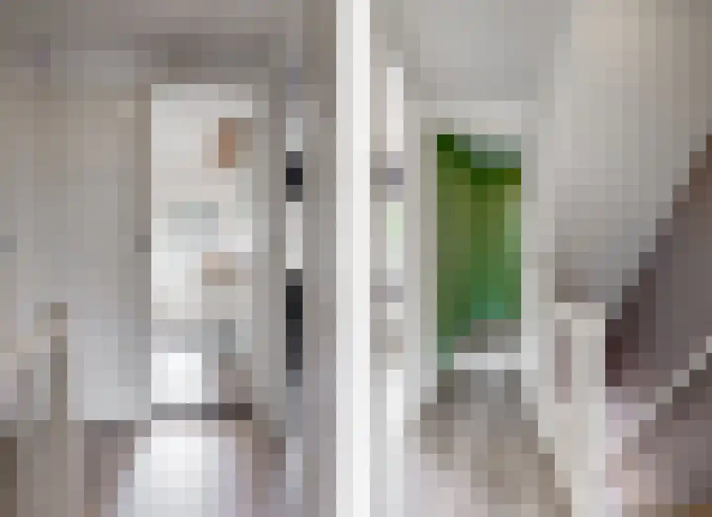 Esdoornlaan 12 Zaandijk thumbnail 14