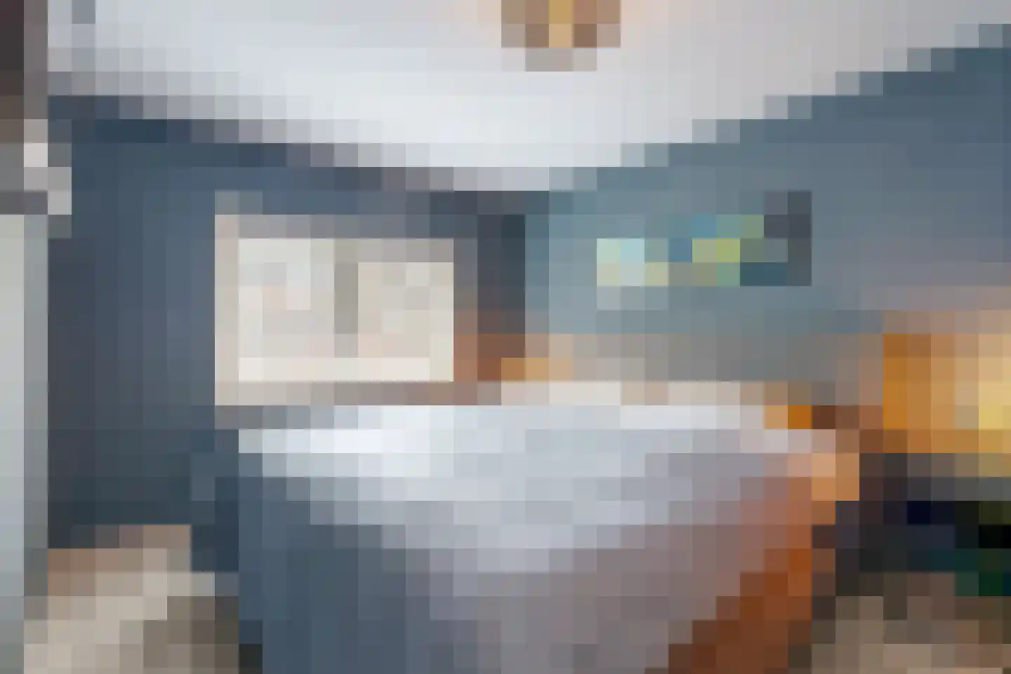 Esdoornlaan 12 Zaandijk thumbnail 15