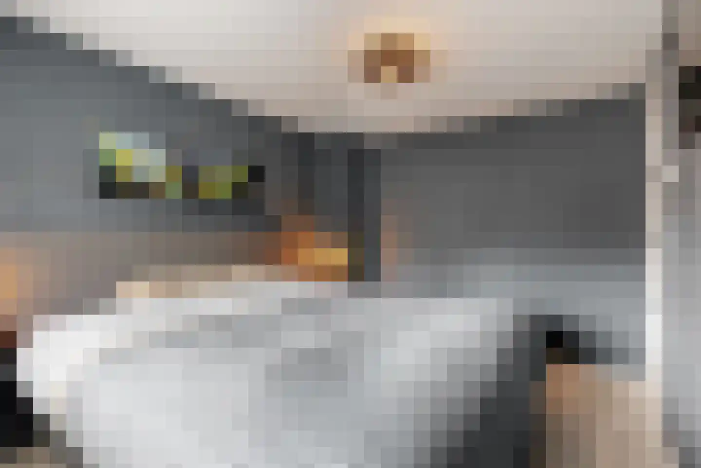 Esdoornlaan 12 Zaandijk thumbnail 16