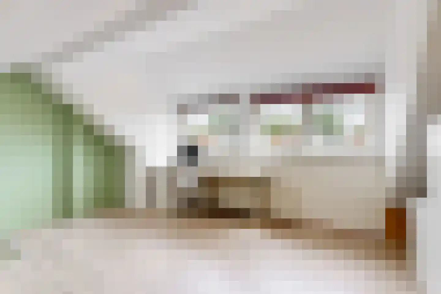 Esdoornlaan 12 Zaandijk thumbnail 21