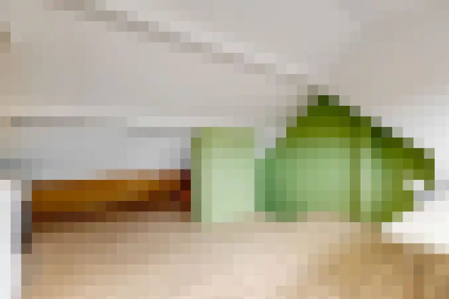 Esdoornlaan 12 Zaandijk thumbnail 22