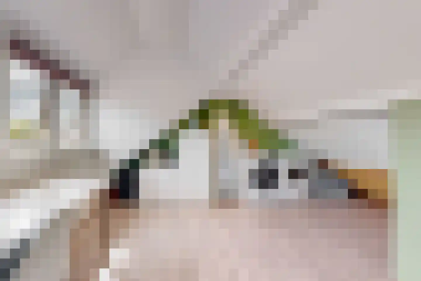 Esdoornlaan 12 Zaandijk thumbnail 23