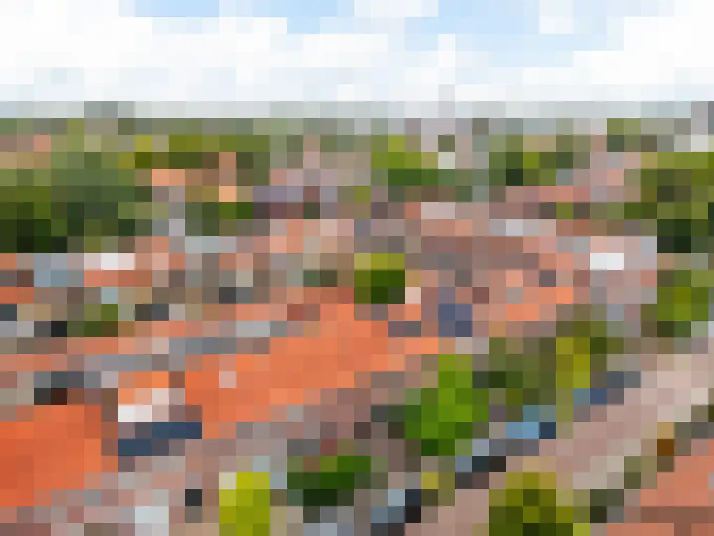 Esdoornlaan 12 Zaandijk thumbnail 28