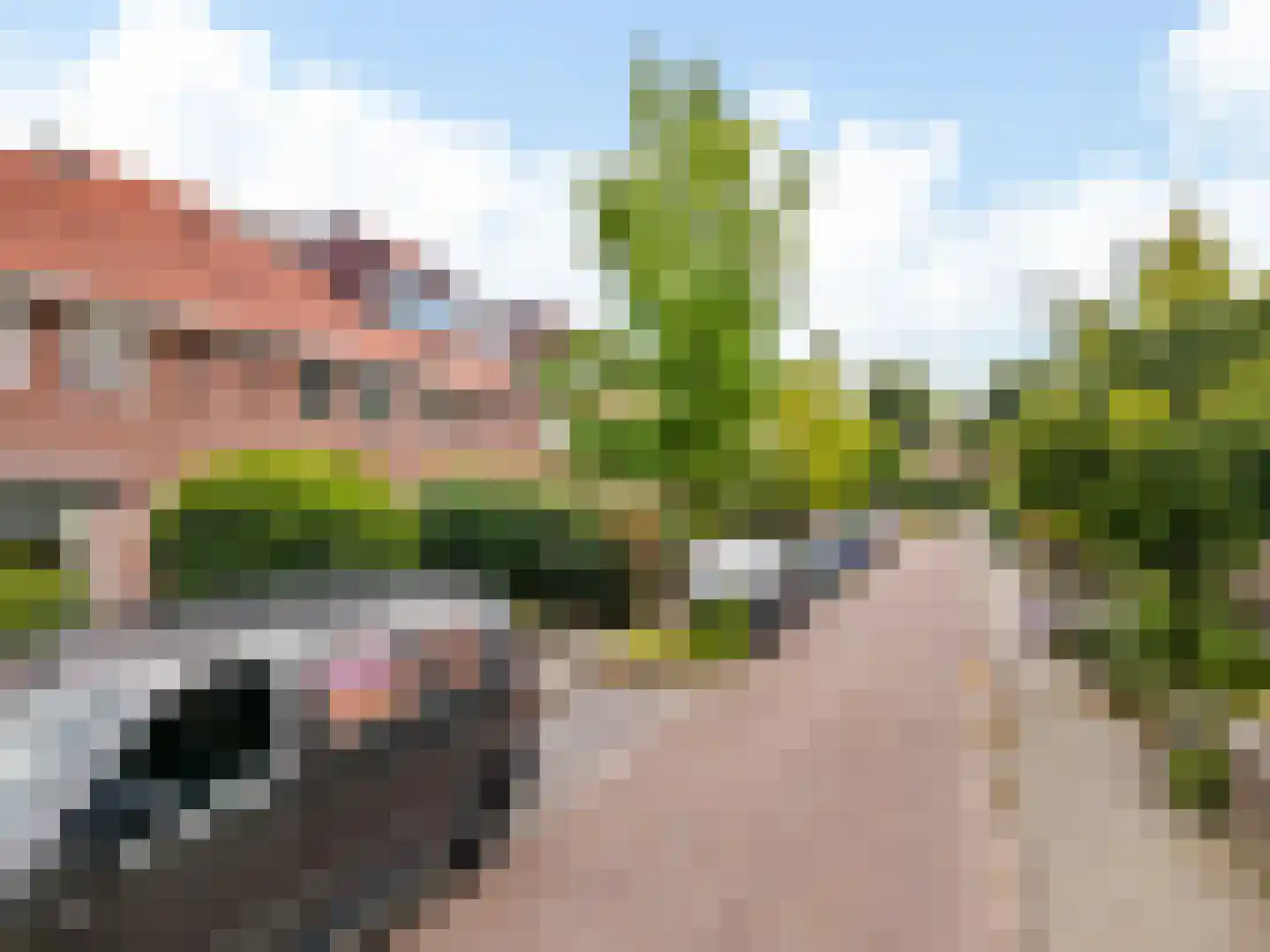 Esdoornlaan 12 Zaandijk thumbnail 33