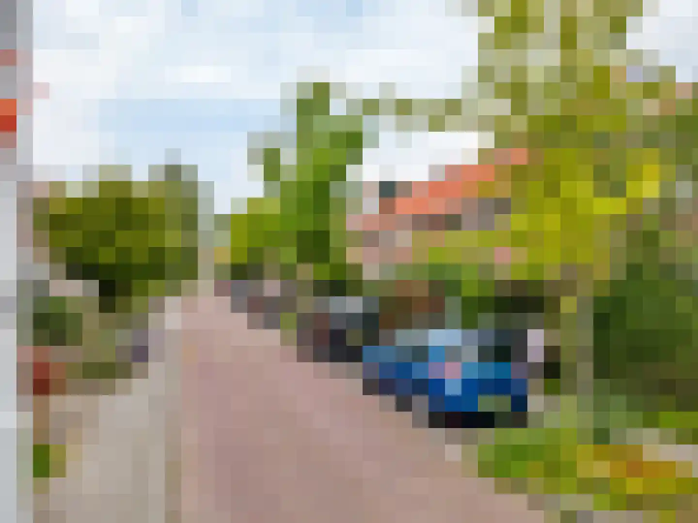 Esdoornlaan 12 Zaandijk thumbnail 34