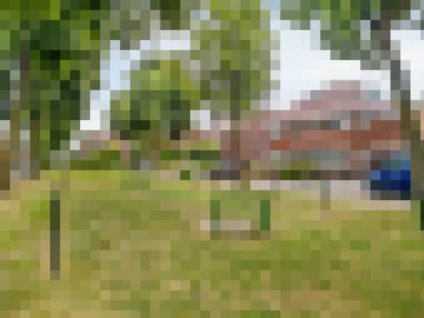 Esdoornlaan 12 Zaandijk thumbnail 36