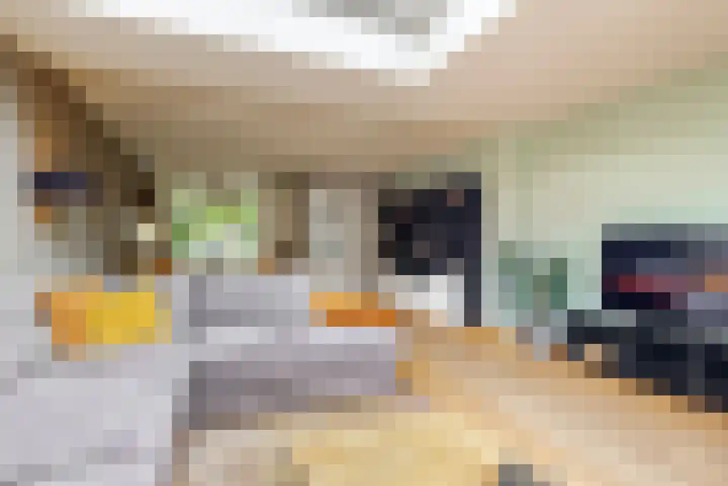 Esdoornlaan 12 Zaandijk thumbnail 7