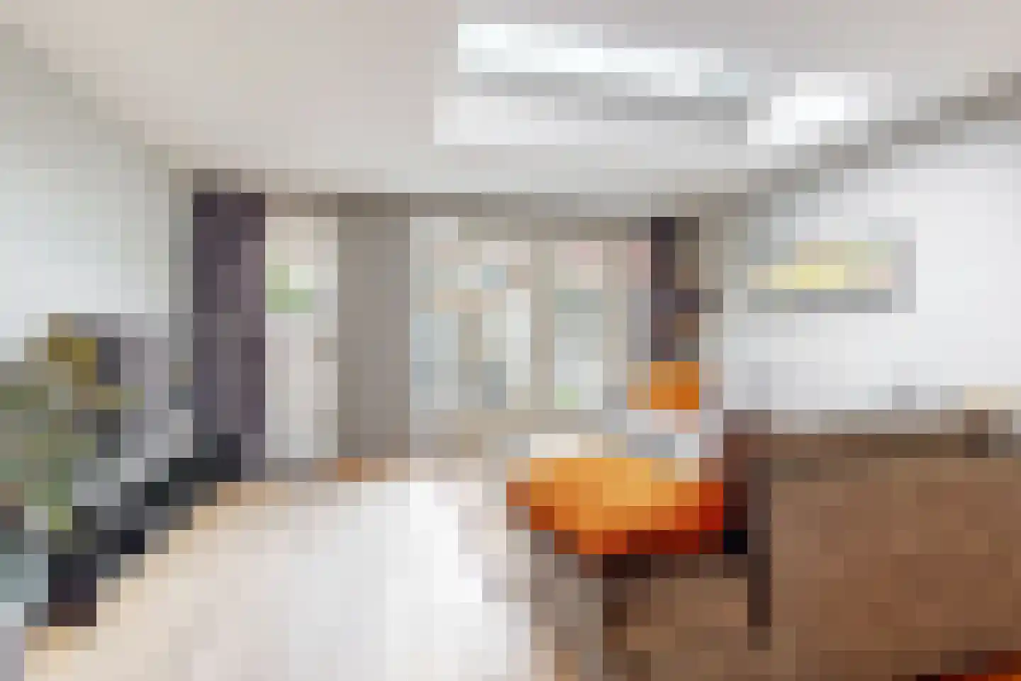 Esdoornlaan 12 Zaandijk thumbnail 9
