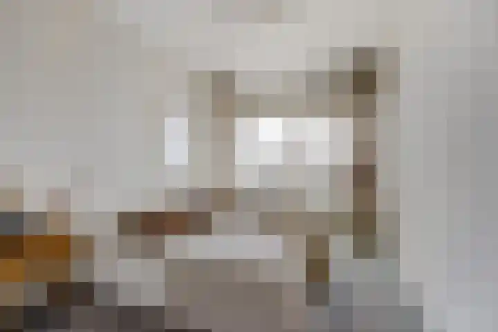 Esdoornlaan 12 Zwanenburg thumbnail 11