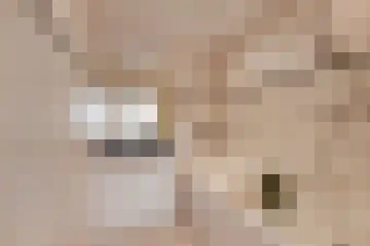 Esdoornlaan 12 Zwanenburg thumbnail 15