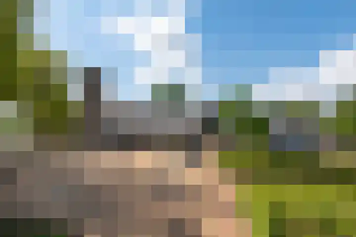 Esdoornlaan 12 Zwanenburg thumbnail 24