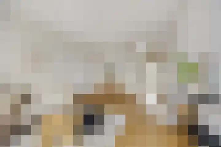 Esdoornlaan 12 Zwanenburg thumbnail 5