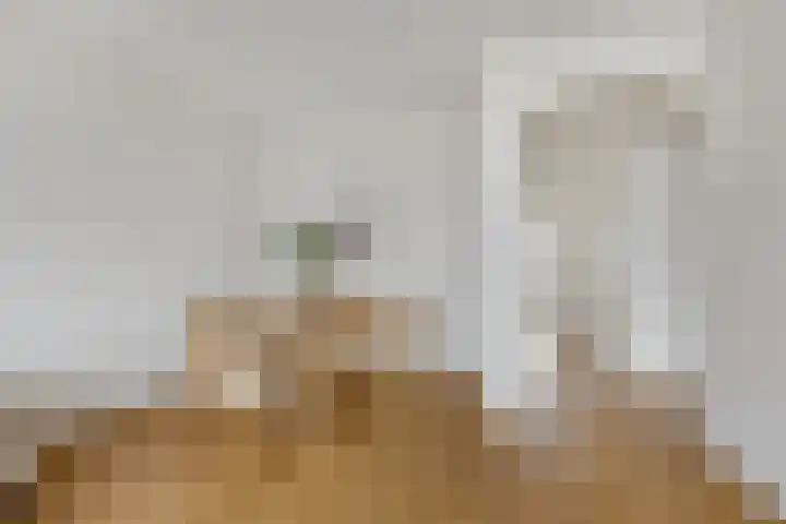Esdoornlaan 12 Zwanenburg thumbnail 6