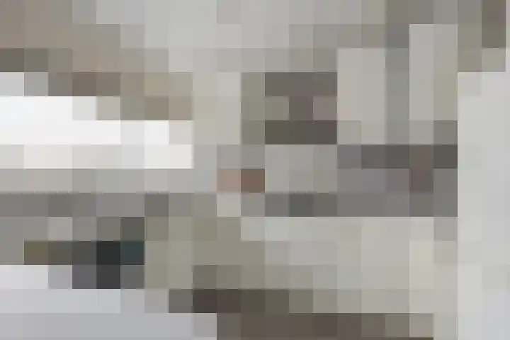 Esdoornlaan 12 Zwanenburg thumbnail 7