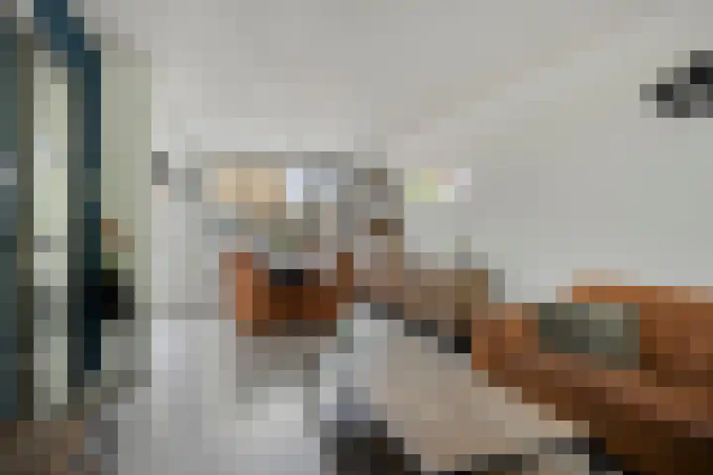 Esdoornlaan 128 Heerhugowaard thumbnail 11
