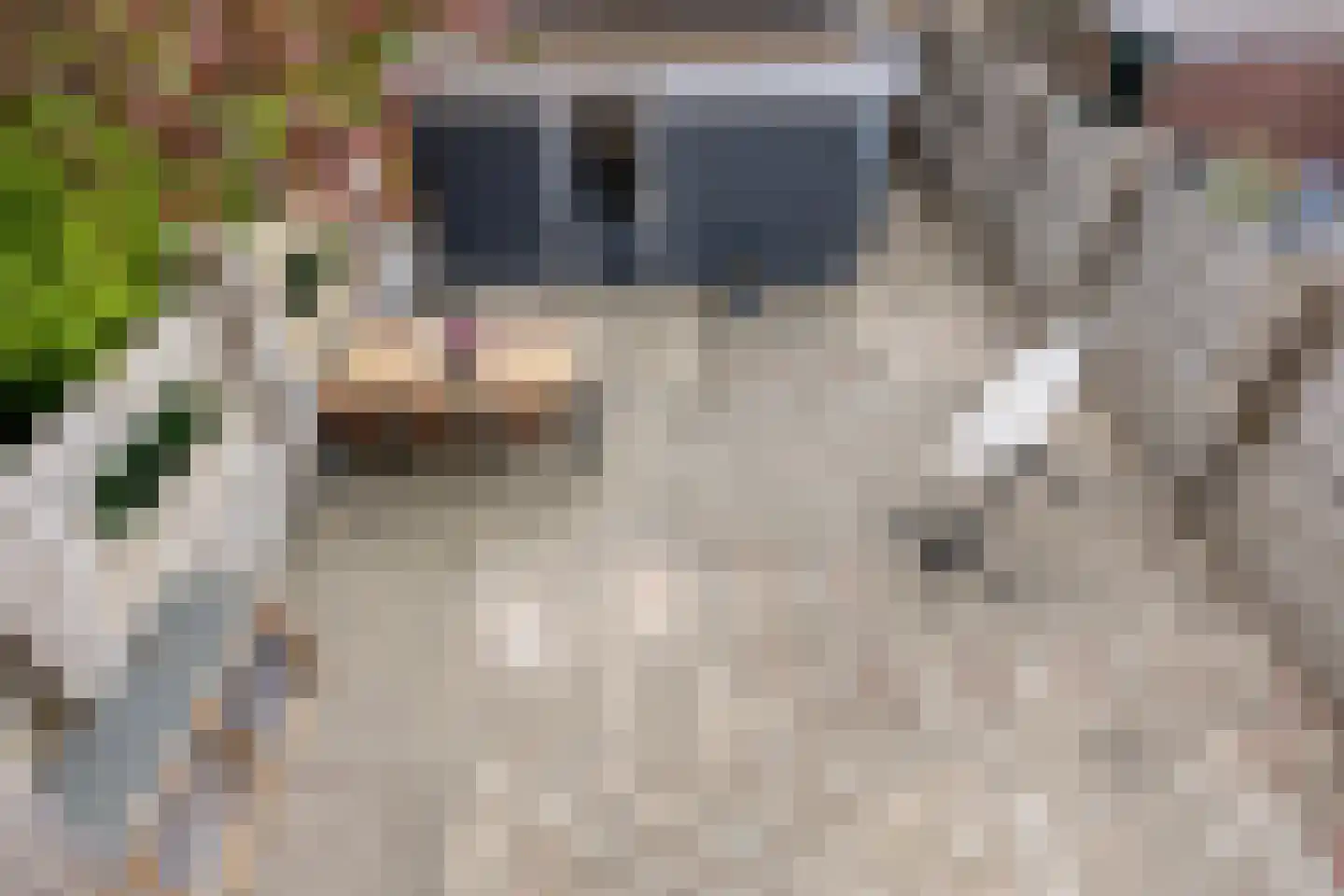 Esdoornlaan 128 Heerhugowaard thumbnail 37