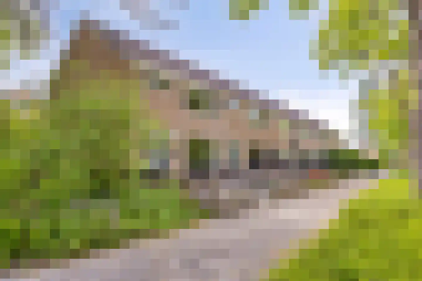 Esdoornlaan 128 Heerhugowaard thumbnail 39
