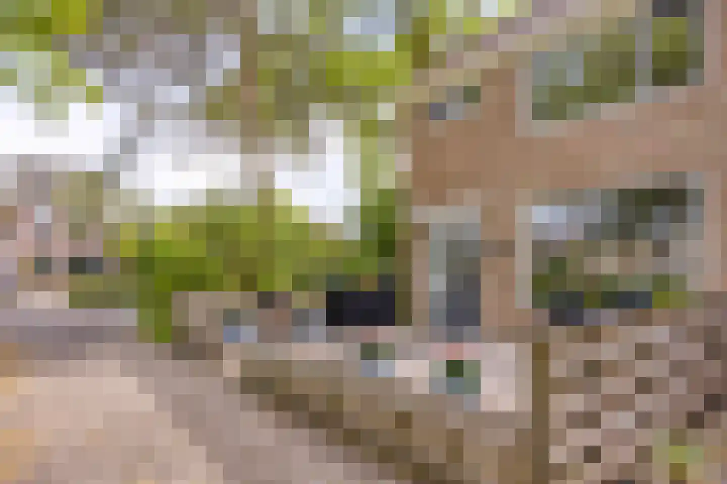 Esdoornlaan 128 Heerhugowaard thumbnail 40