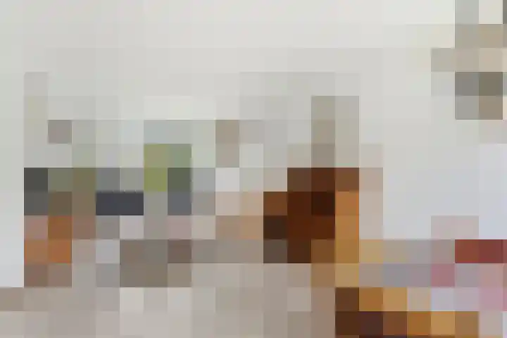 Esdoornlaan 13 Alblasserdam thumbnail 10