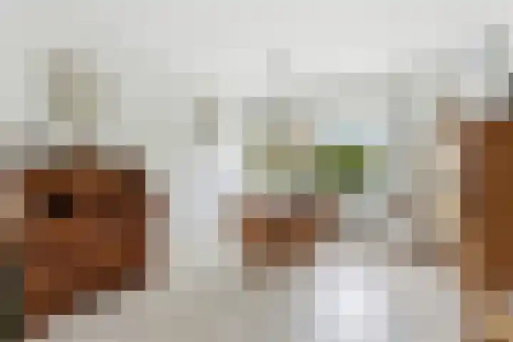 Esdoornlaan 13 Alblasserdam thumbnail 11