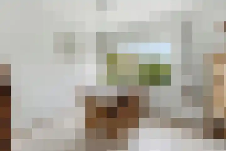 Esdoornlaan 13 Alblasserdam thumbnail 12