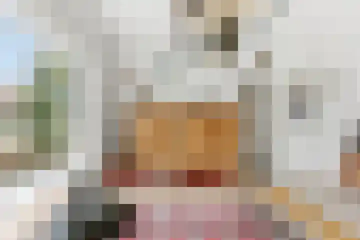 Esdoornlaan 13 Alblasserdam thumbnail 13