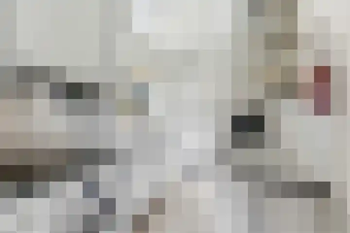 Esdoornlaan 13 Alblasserdam thumbnail 14