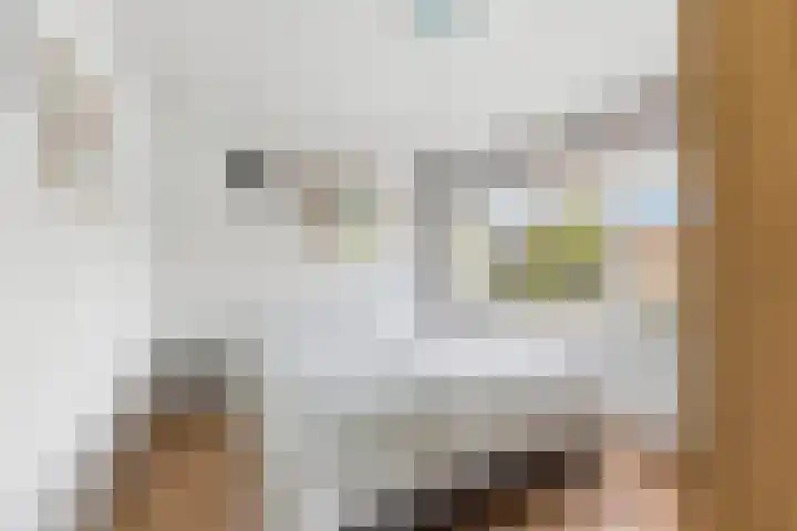 Esdoornlaan 13 Alblasserdam thumbnail 22