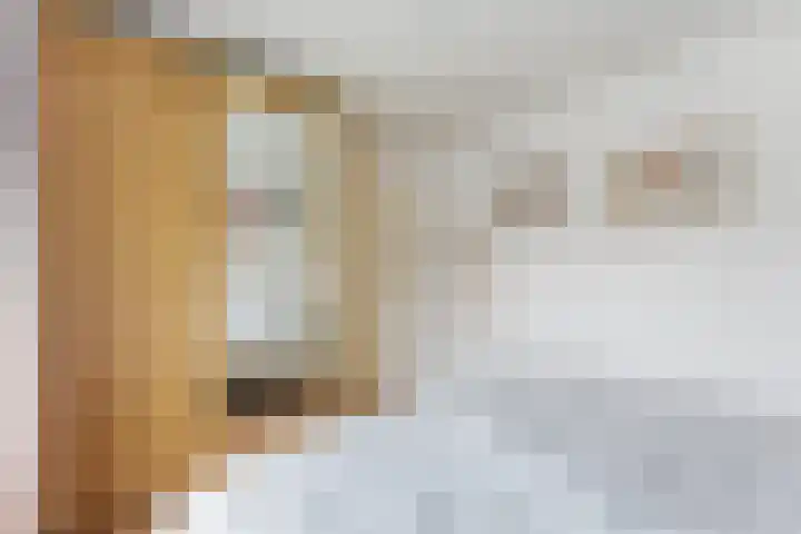 Esdoornlaan 13 Alblasserdam thumbnail 23