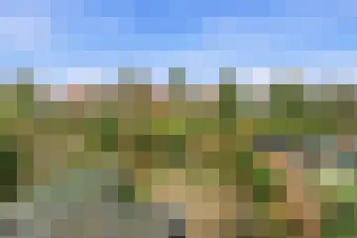 Esdoornlaan 13 Alblasserdam thumbnail 26