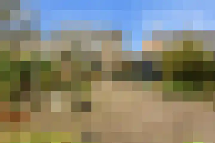 Esdoornlaan 13 Alblasserdam thumbnail 35
