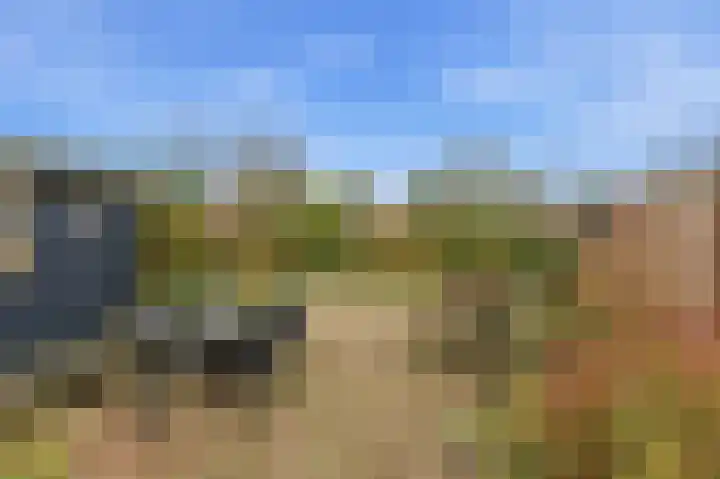 Esdoornlaan 13 Alblasserdam thumbnail 39