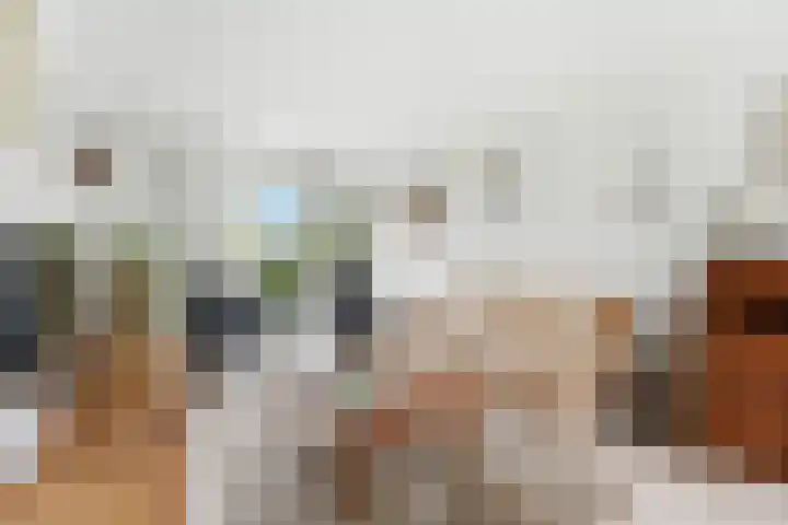 Esdoornlaan 13 Alblasserdam thumbnail 4