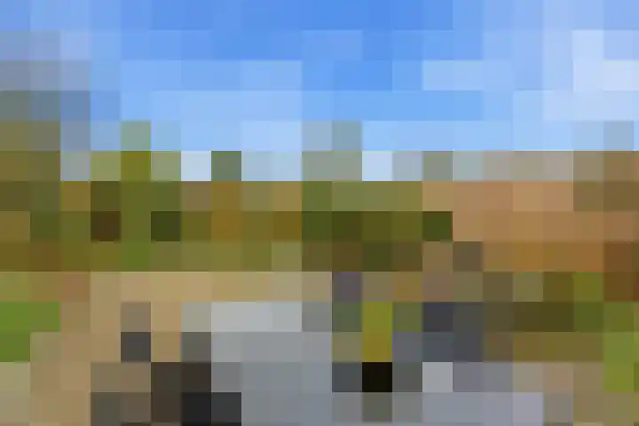 Esdoornlaan 13 Alblasserdam thumbnail 40
