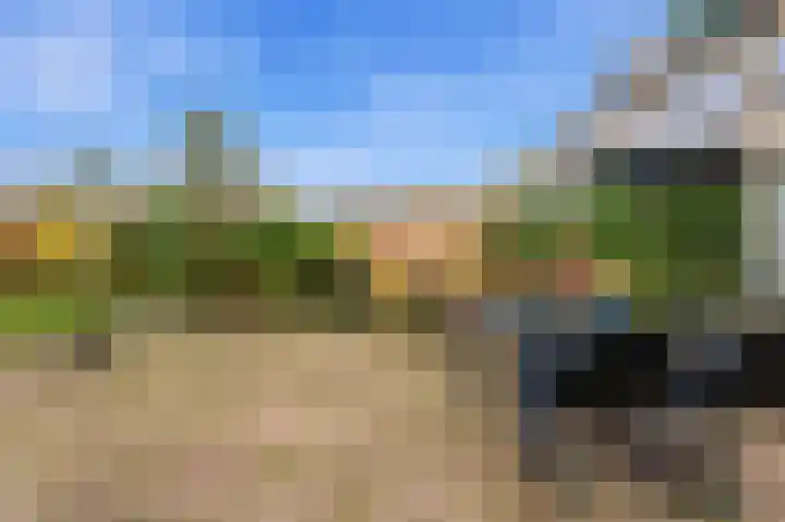 Esdoornlaan 13 Alblasserdam thumbnail 41