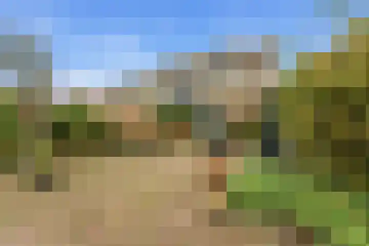 Esdoornlaan 13 Alblasserdam thumbnail 42