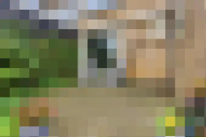 Esdoornlaan 13 Alblasserdam thumbnail 44