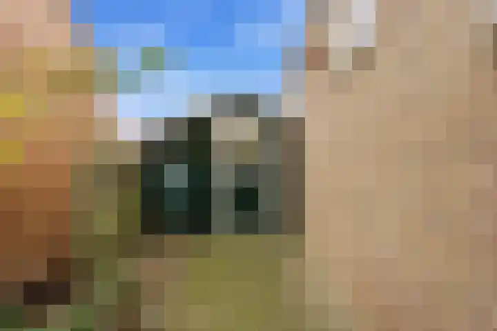 Esdoornlaan 13 Alblasserdam thumbnail 45