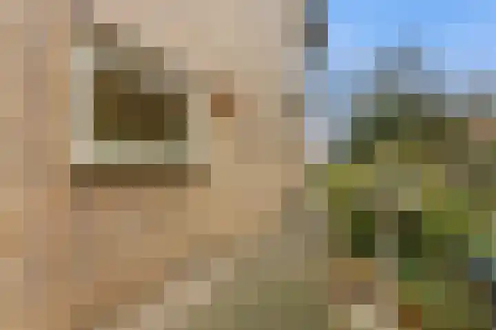 Esdoornlaan 13 Alblasserdam thumbnail 46