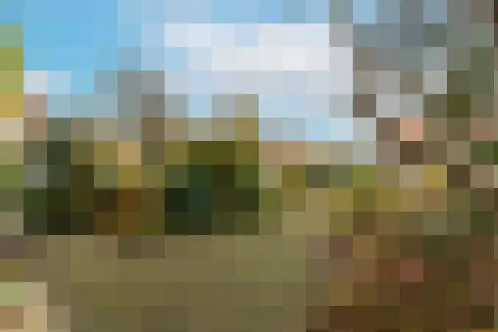 Esdoornlaan 13 Alblasserdam thumbnail 47