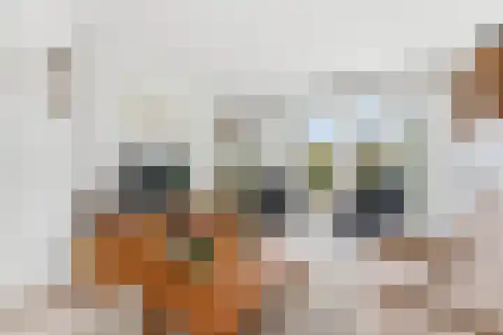Esdoornlaan 13 Alblasserdam thumbnail 5