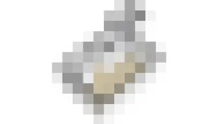 Esdoornlaan 13 Alblasserdam thumbnail 51