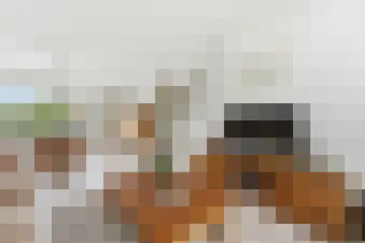 Esdoornlaan 13 Alblasserdam thumbnail 7