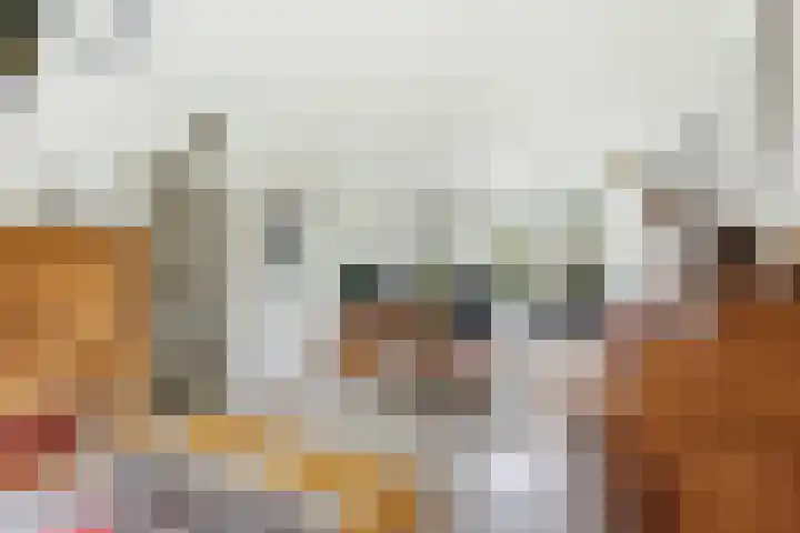 Esdoornlaan 13 Alblasserdam thumbnail 9