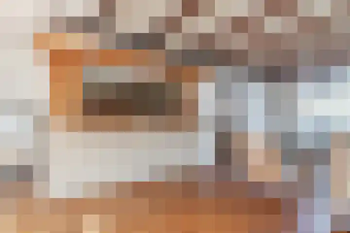 Esdoornlaan 13 Harmelen thumbnail 17