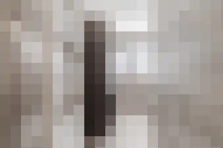 Esdoornlaan 13 Harmelen thumbnail 24