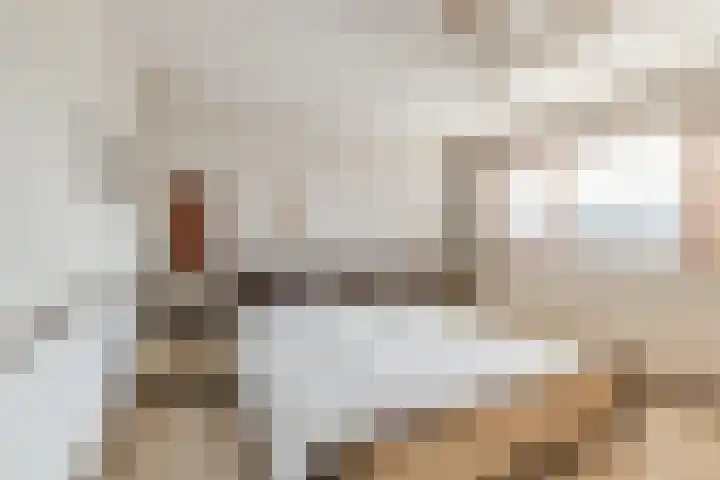 Esdoornlaan 13 Harmelen thumbnail 29