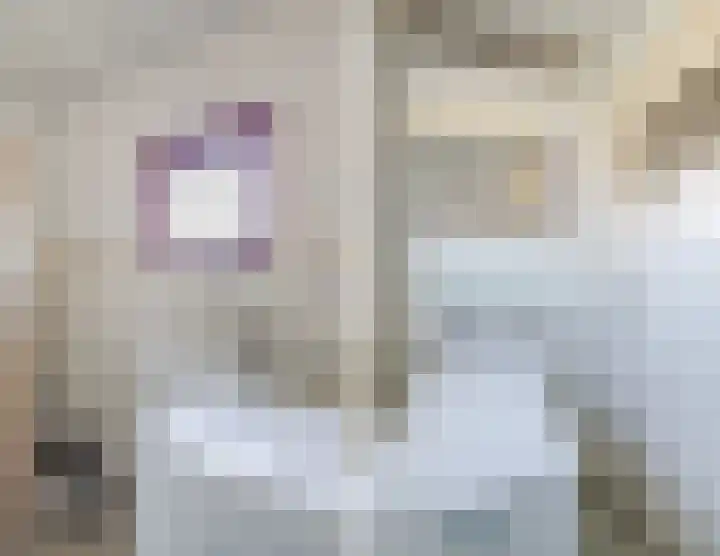 Esdoornlaan 13 Harmelen thumbnail 34