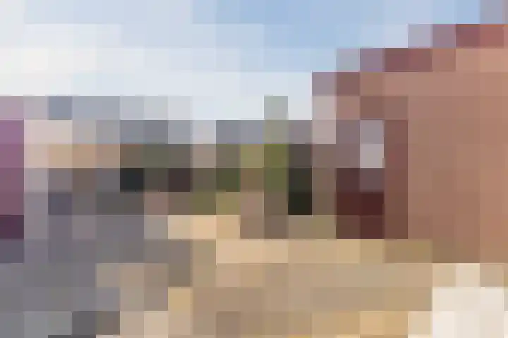 Esdoornlaan 13 Harmelen thumbnail 36